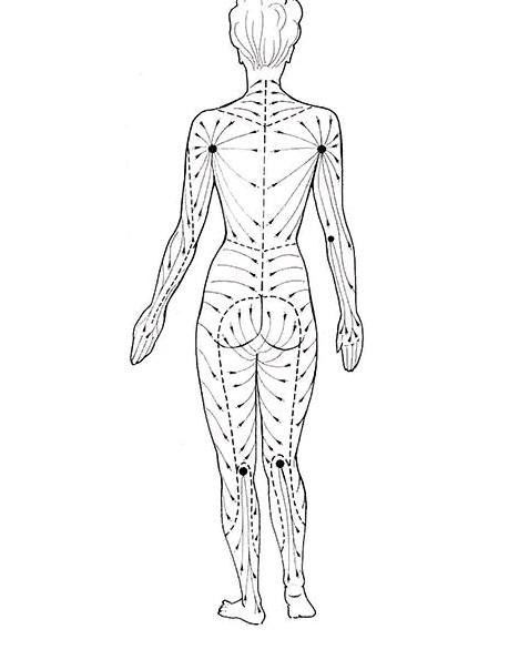 Diagram of lymphatic drainage pathways across the back of the body